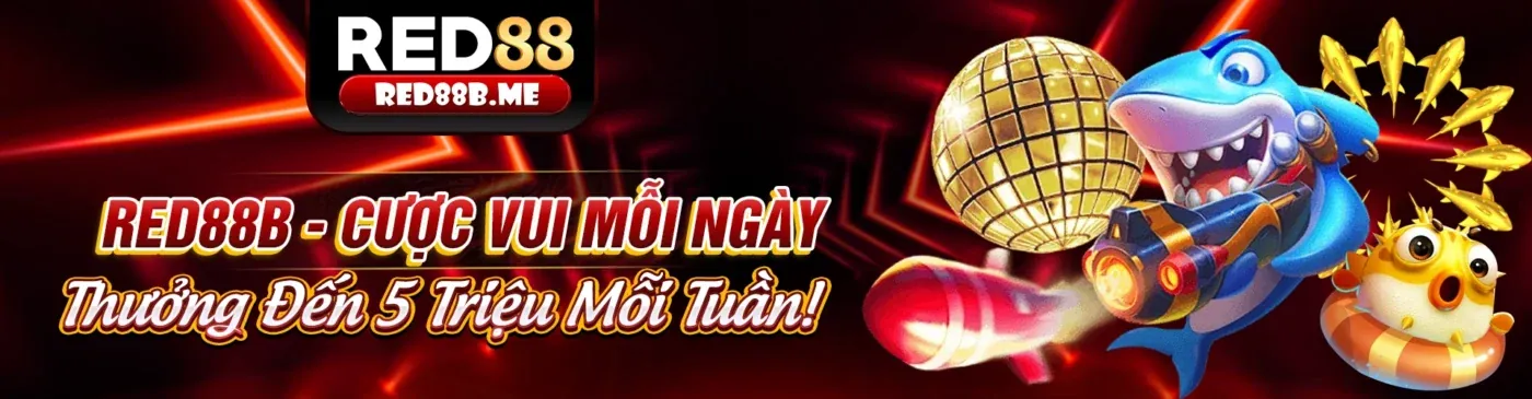 Khuyến mãi độc quyền và ưu đãi khủng tại sumvip5 chính thức